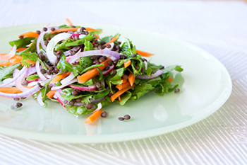 אורה קורן הסלט האלגנטי