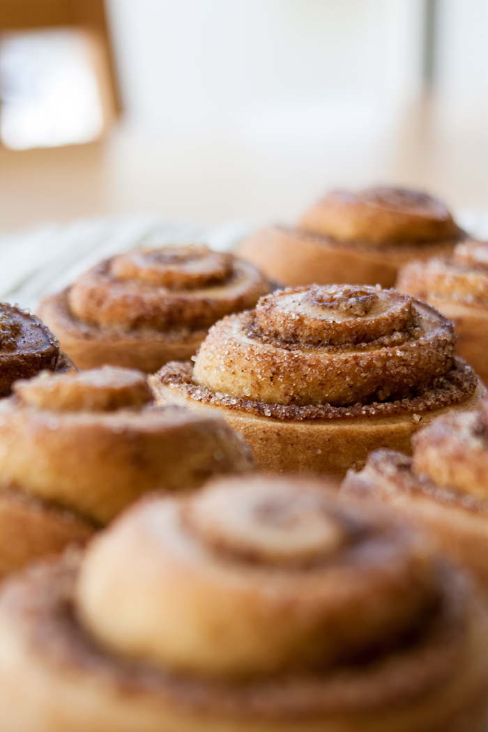 אורה קורן מאפה שמרים אישי1