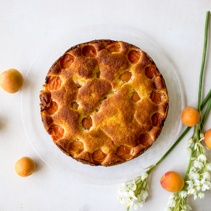 אורה קורן עוגת מישמישים שיכורים קלה 4