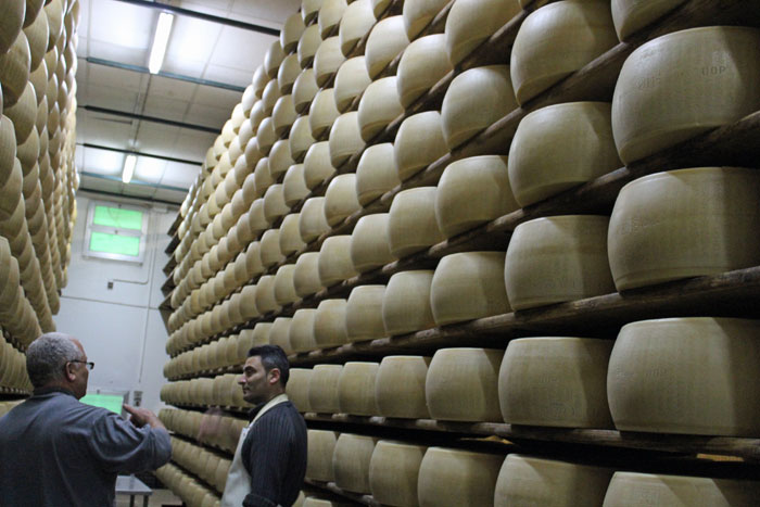 ייצור פרמזן במודנה, איטליה