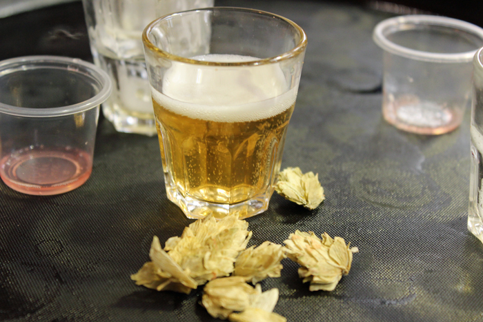 הכשות שמעניק טעם פירותי לבירה. נעים להכיר.