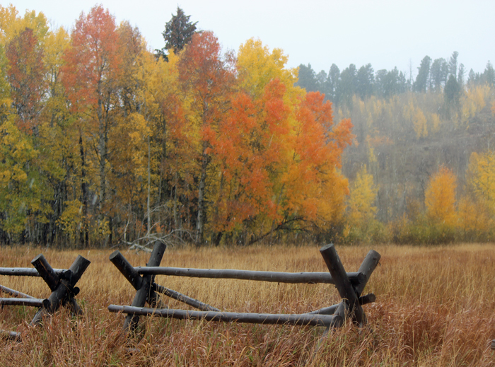 סתיו ושלכת. טיטון.