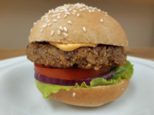 HAMBURGER1.jpg-WEB