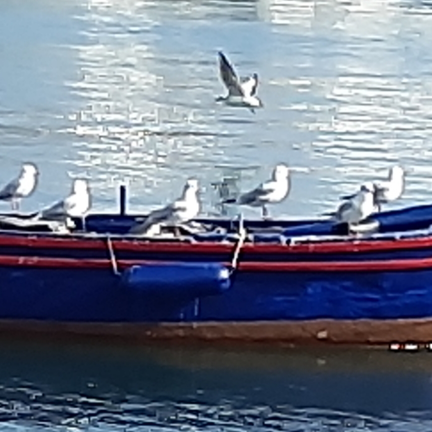 יונתן ליוינג