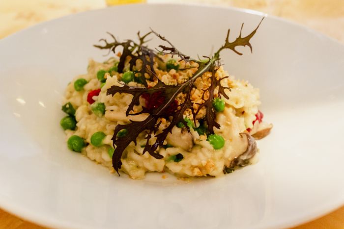 IMG_74341.jpg-webweb